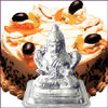 Paradise Glory - Click here to View more details about this Product